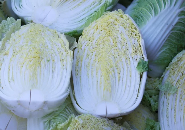 Скоро август – пора сеять пекинскую капусту