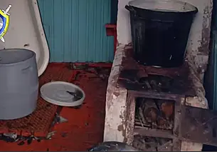 Два брата 14 и 6 лет получили ожоги при растопке бани в Минской области