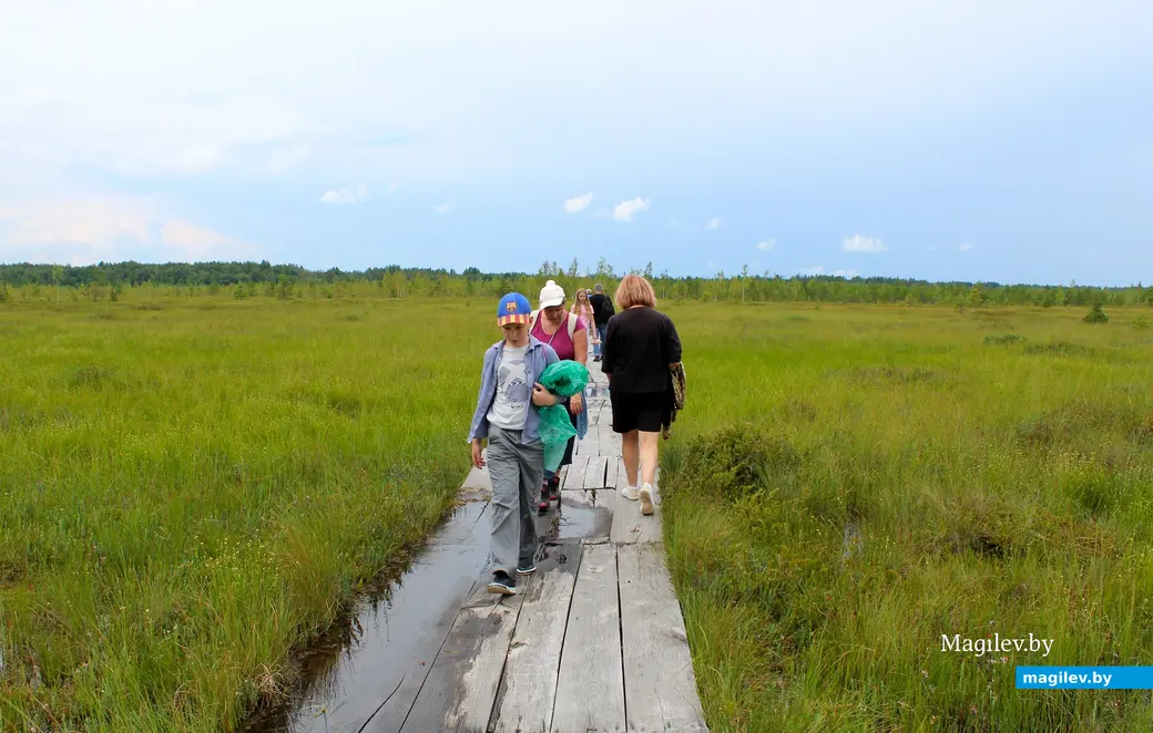 26 июля 2025 года. Витебская область. Болото Ельня.