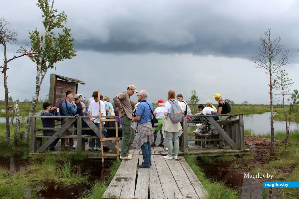 26 июля 2025 года. Витебская область. Болото Ельня.