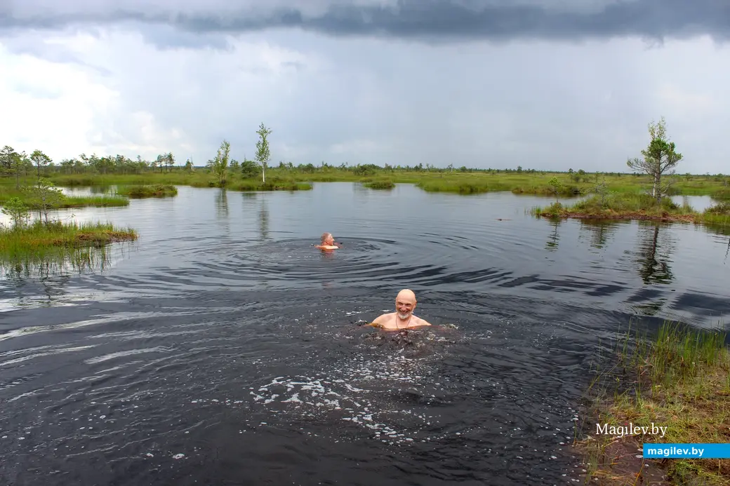 26 июля 2025 года. Витебская область. Болото Ельня.