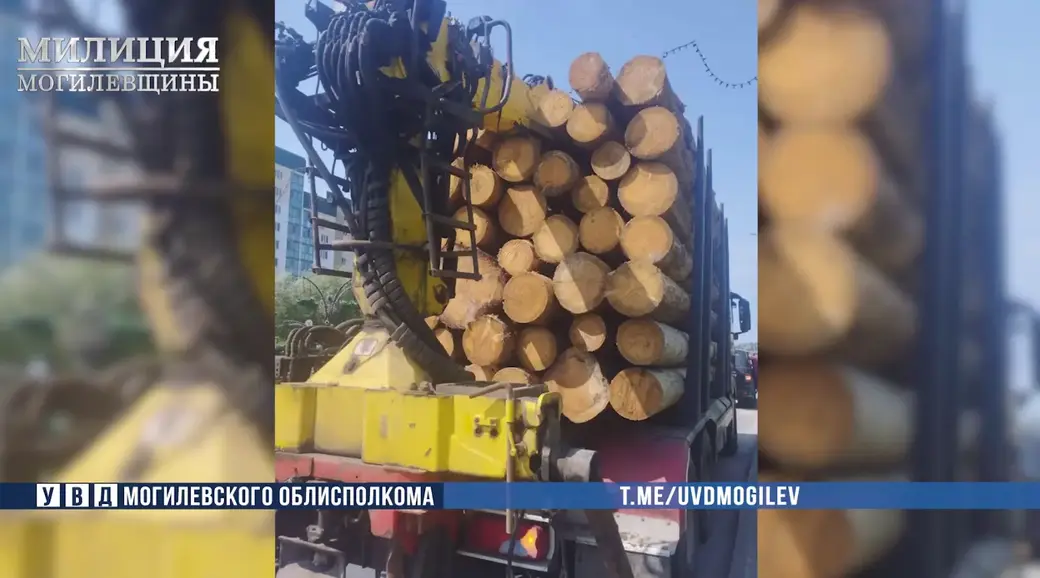 Фото: скан с видео УВД Могоблисполкома