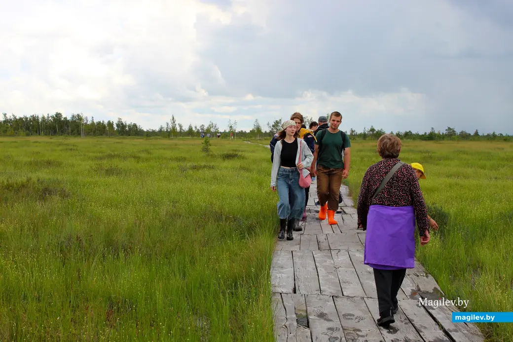 26 июля 2025 года. Витебская область. Болото Ельня.