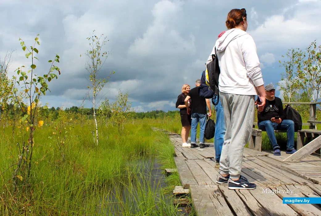 26 июля 2025 года. Витебская область. Болото Ельня.
