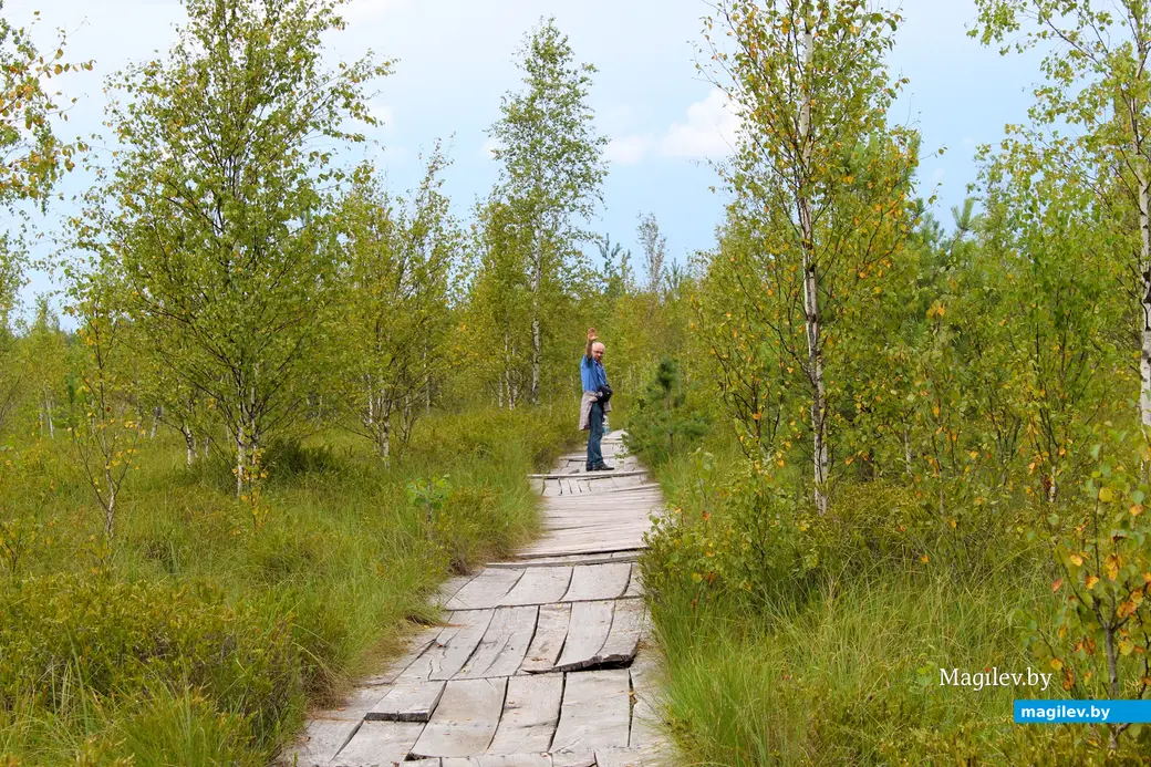 26 июля 2025 года. Витебская область. Болото Ельня.