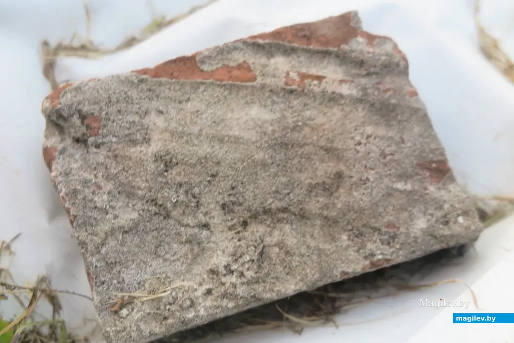 29.07.2025 г. Могилев, набережная Днепра., территория Троицкой церкви. Тот самый кирпич-пальчатка со следами пальцев мастера, его изготовившего.