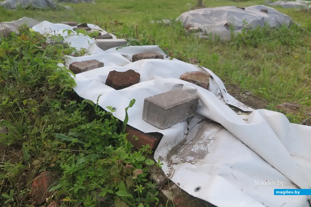 29.07.2025 г. Могилев, набережная Днепра., территория Троицкой церкви.
