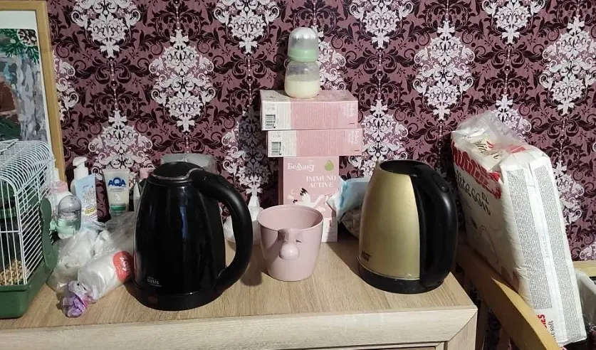 Фото: УГКСЭ по Могилевской области