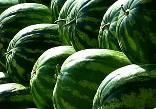 22 тонны арбузов не доехали до Беларуси. Остановил Россельхознадзор