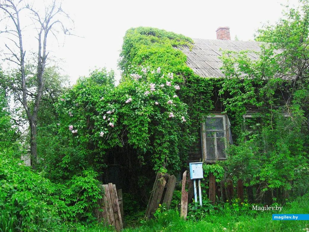 2014 год, Могилев, район улицы 1-й Железнодорожной.