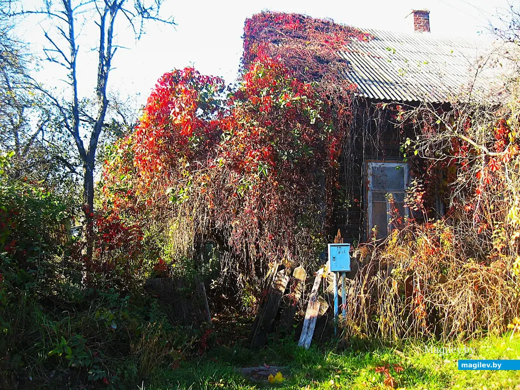 2015 год, Могилев, район улицы 1-й Железнодорожной.