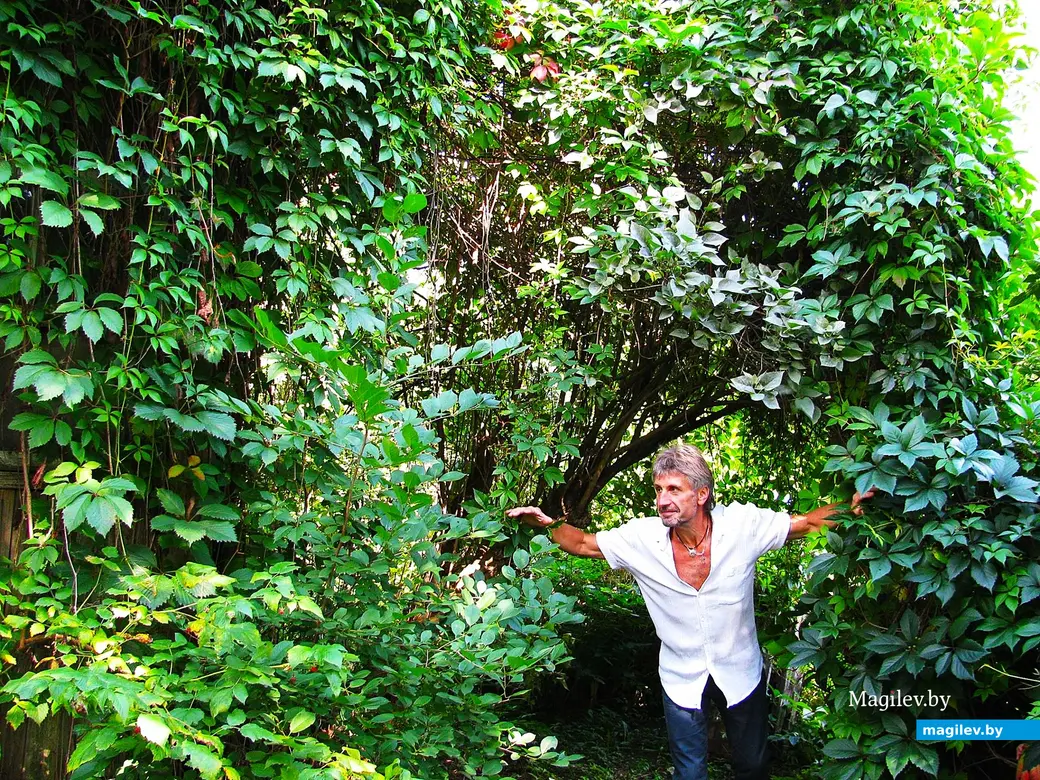 2014 год, Могилев, район улицы 1-й Железнодорожной.