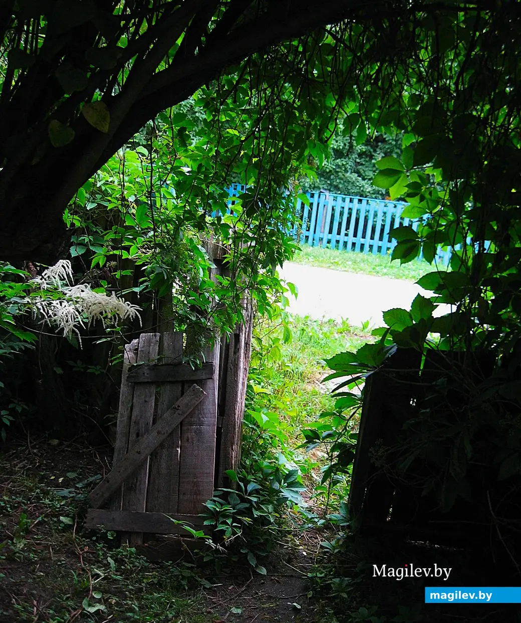 2015 год, Могилев, район улицы 1-й Железнодорожной.