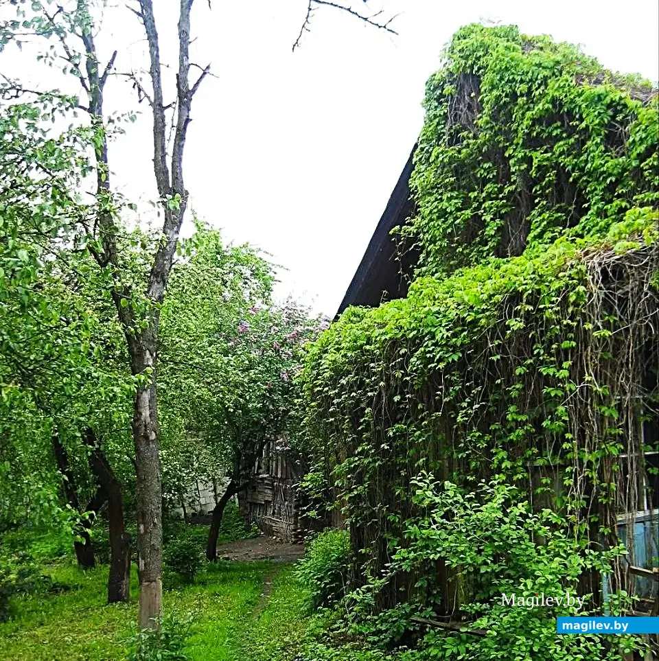 2016 год, Могилев, район улицы 1-й Железнодорожной.