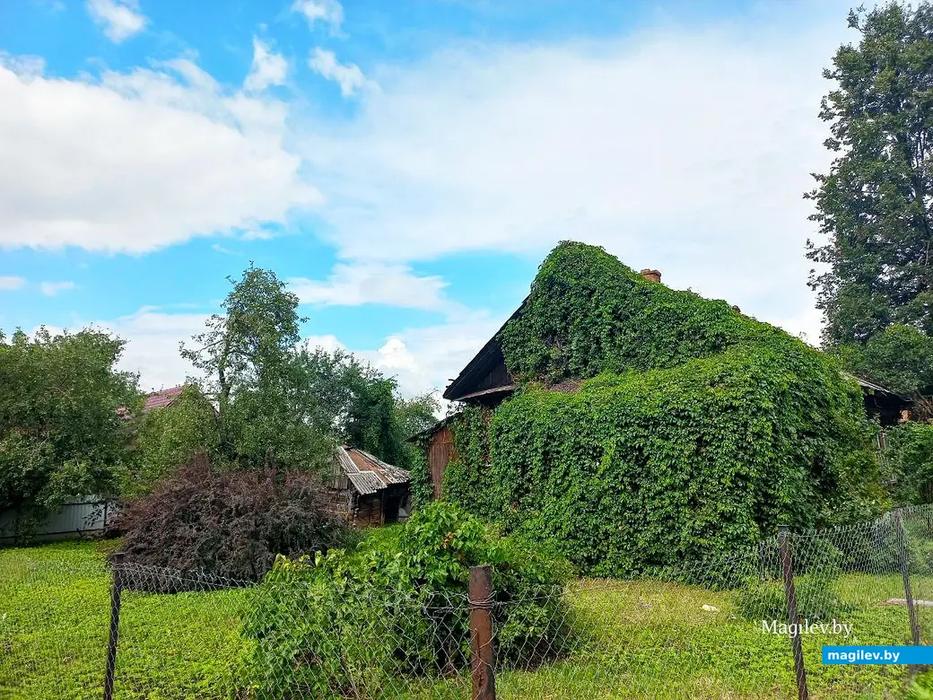 Июль 2025 года, Могилев, район улицы 1-й Железнодорожной.