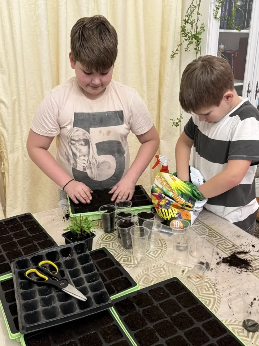 Мальчишки и рассадой занимаются.