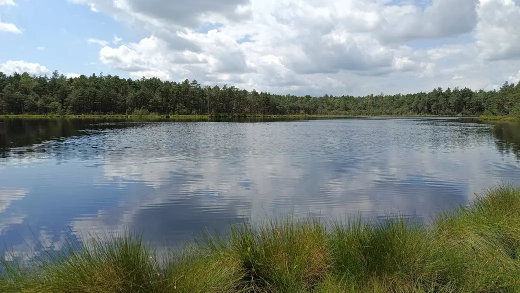 26 июля 2025 года. Безымянное озеро возле деревни Клещевка Глусского района.