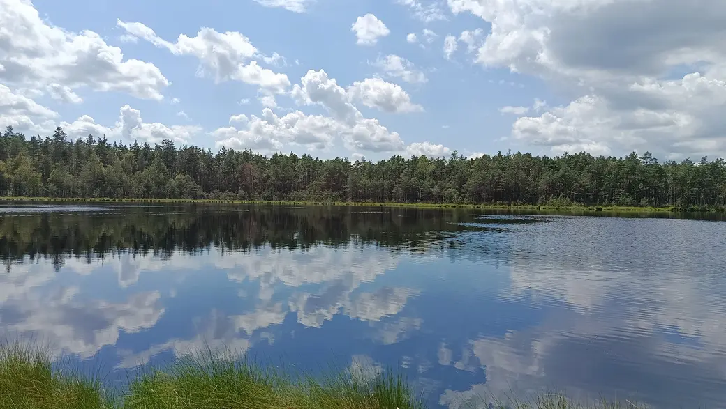 Август 2025 г. Лесное озеро недалеко от Клещевки.