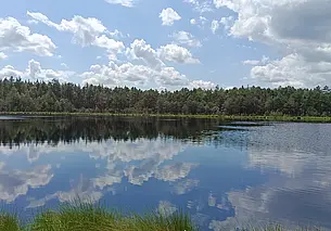 Скрытая жемчужина Глусского леса: озеро, о котором не знает ни один путеводитель