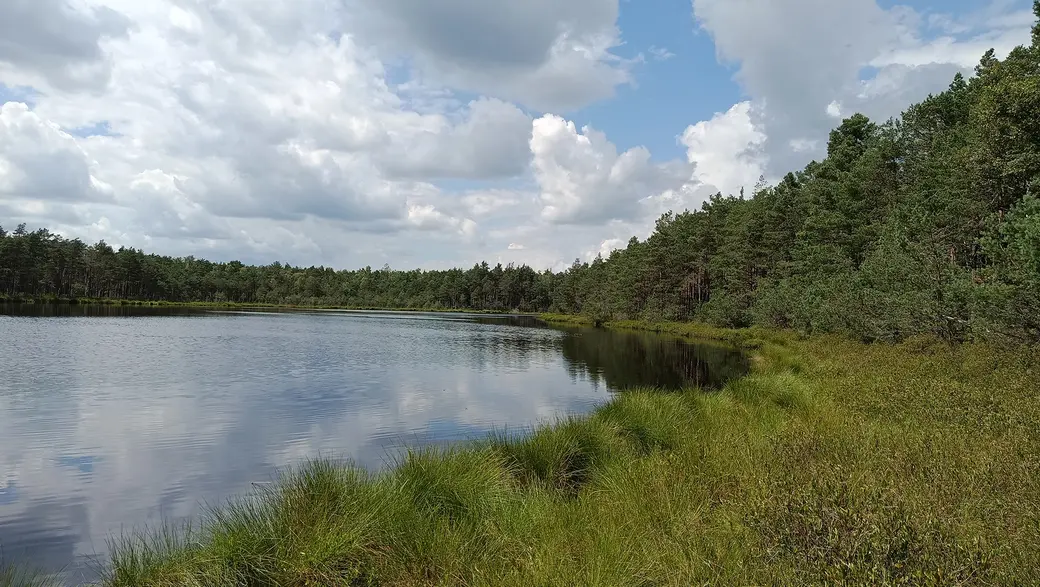 26 июля 2025 года. Безымянное озеро возле деревни Клещевка Глусского района.