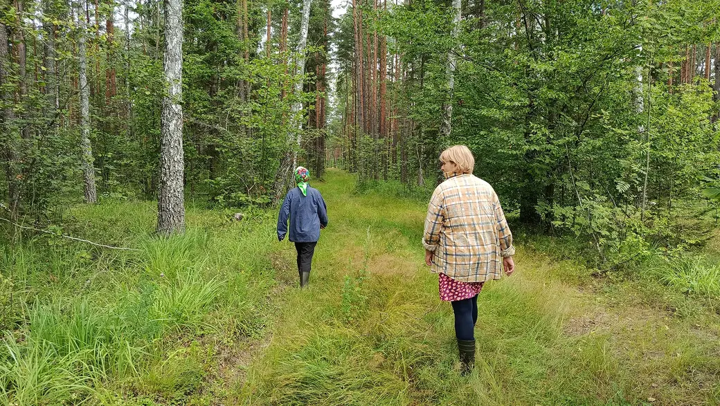 26 июля 2025 года. Идем к безымянное озеро возле деревни Клещевка Глусского района с местными "проводниками".