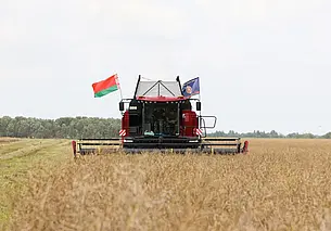 Милиционеры помогают убирать урожай в Могилевской области