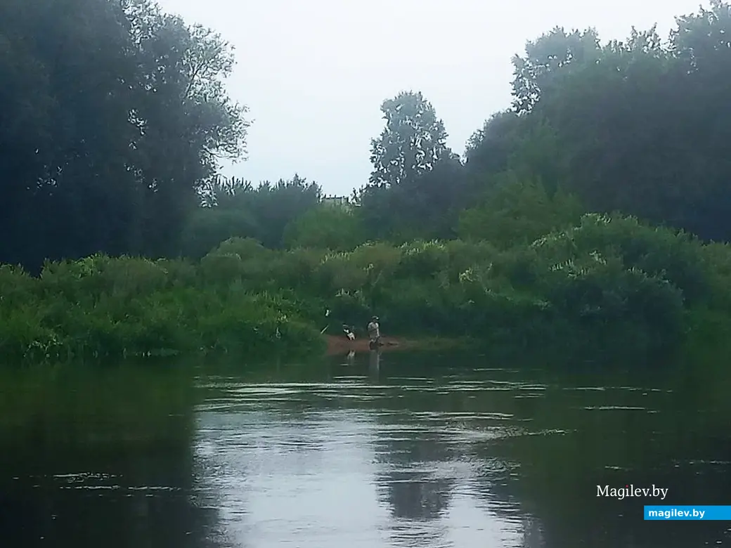 02.08.2025, Могилев, Днепр: лекарство от меланхолии. Проверено на себе.