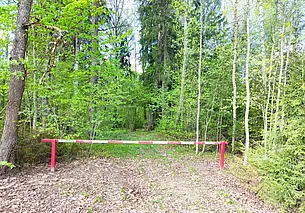 Ограничения на посещение лесов введены на большей части Могилевщины