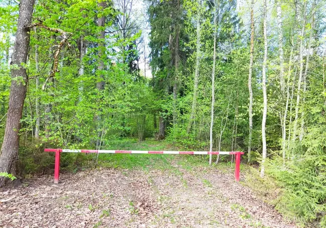Ограничения на посещение лесов введены на большей части Могилевщины