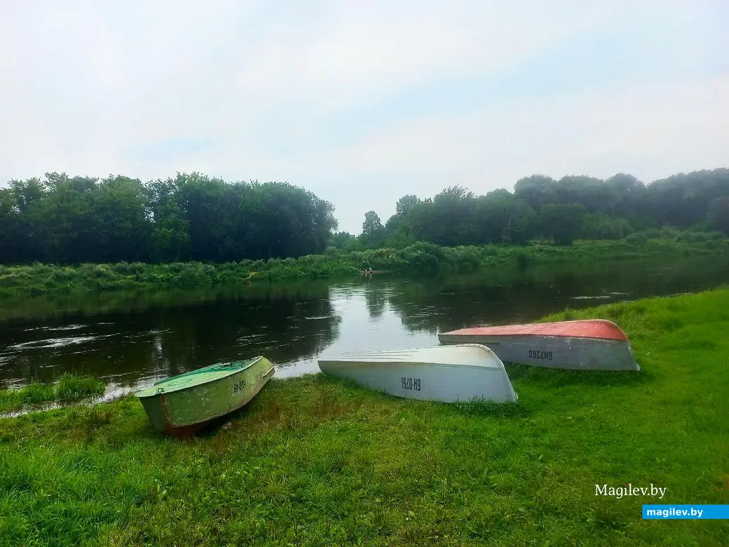 02.08.2025, Могилев, Днепр: лекарство от меланхолии. Проверено на себе.
