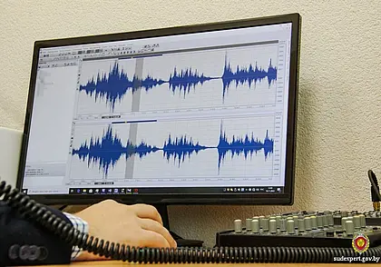 16-летний бобруйчанин «заказывал» сообщения о ложном минировании