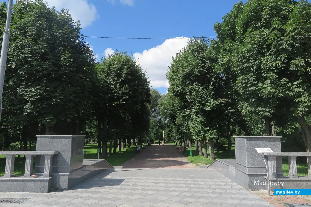 Август 2025 г. Могилев, парк Горького.
