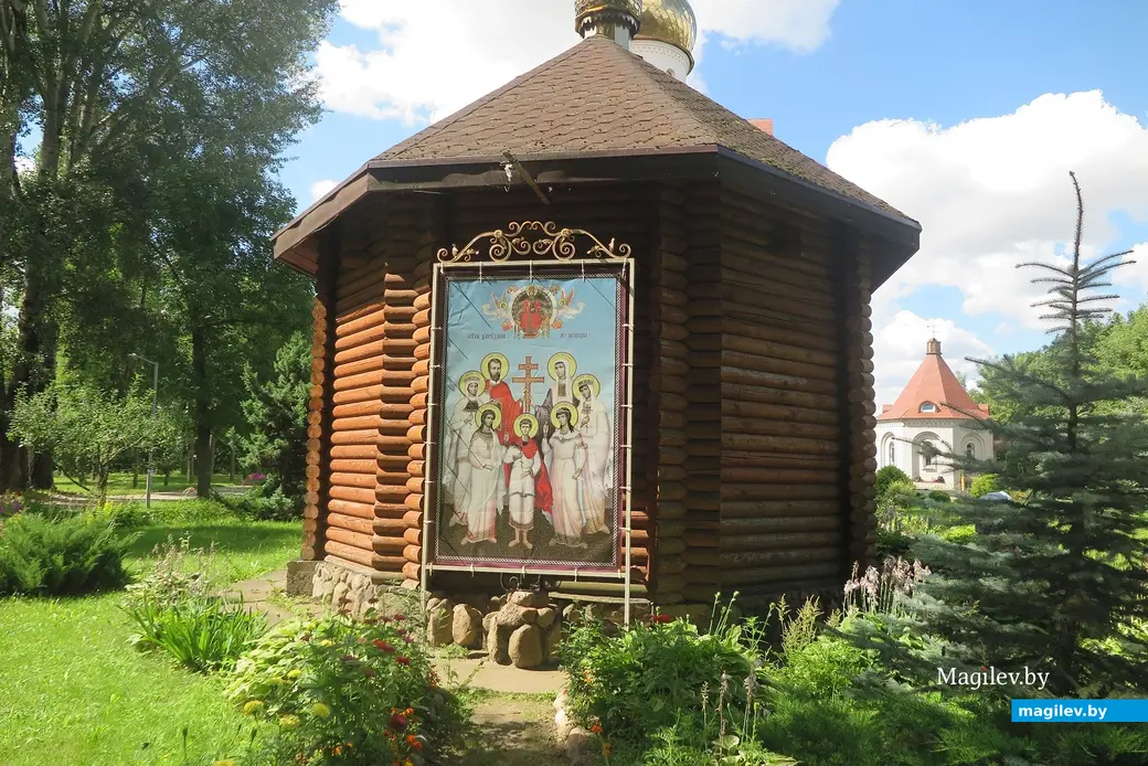 Август 2025 г. Могилев, парк Горького.