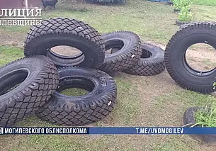 Работники сельхозпредприятия в Шкловским районе воровали автозапчасти и шины
