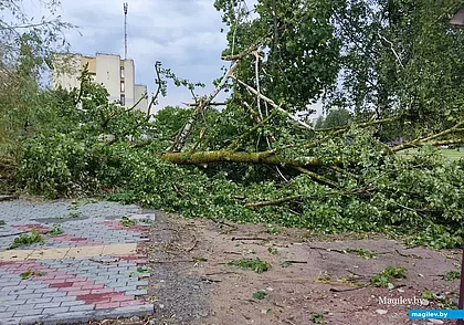 В Беларуси с начала года произошло 12 метеорологических чрезвычайных ситуаций