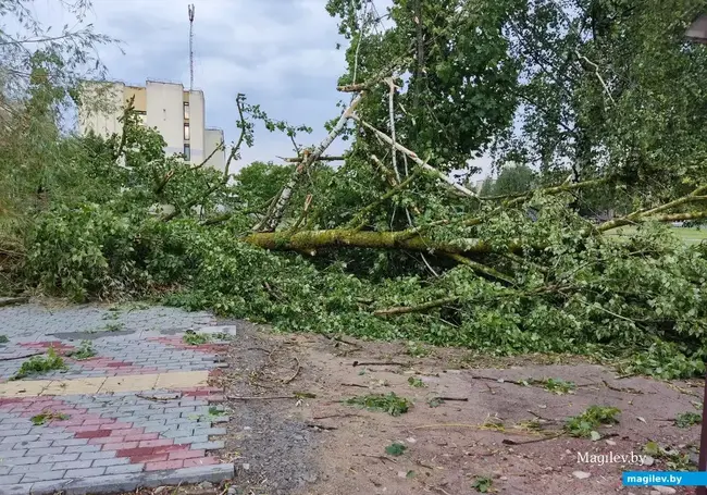 В Беларуси с начала года произошло 12 метеорологических чрезвычайных ситуаций