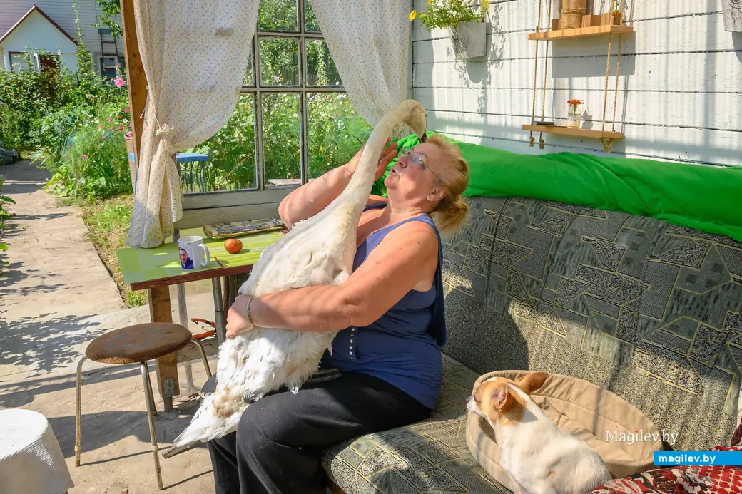 05.08.2025. Бобруйск. Любовь Шушляникова и ее питомцы. Фото: Александр Чугуев.