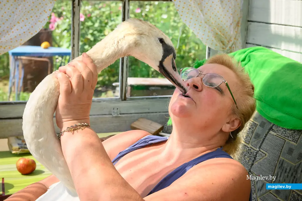 05.08.2025. Бобруйск. Любовь Шушляникова и лебедь Гриша. Фото: Александр Чугуев.