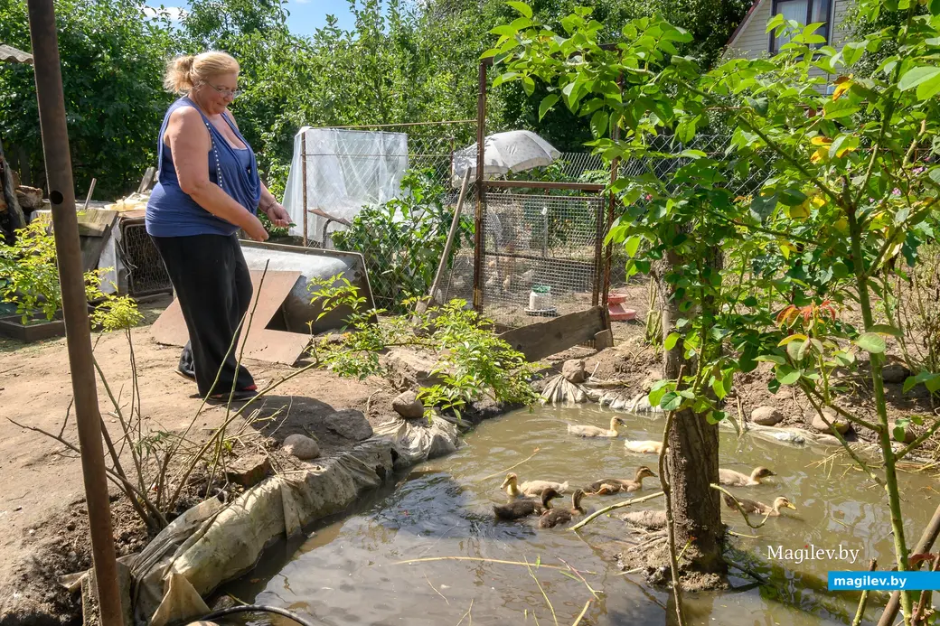05.08.2025. Бобруйск. Любовь Шушляникова и ее питомцы. Фото: Александр Чугуев.