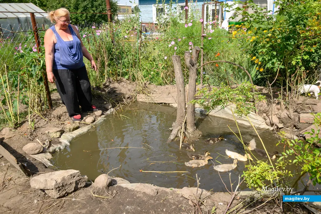 5.08.2025. Бобруйск. Любовь Шушляникова и ее питомцы. Фото: Александр Чугуев.