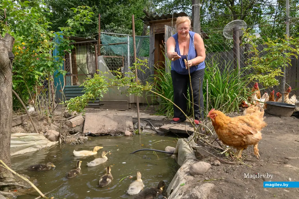 05.08.2025. Бобруйск. Любовь Шушляникова и ее питомцы. Фото: Александр Чугуев.