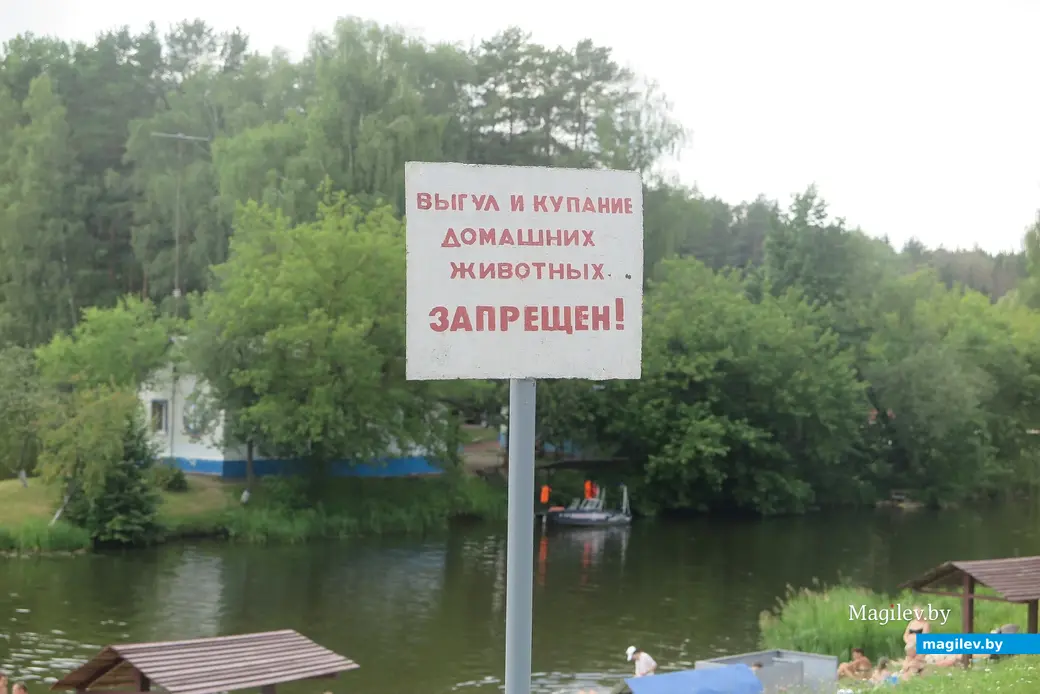 Июль 2025 г. Могилев, Печерское озеро.