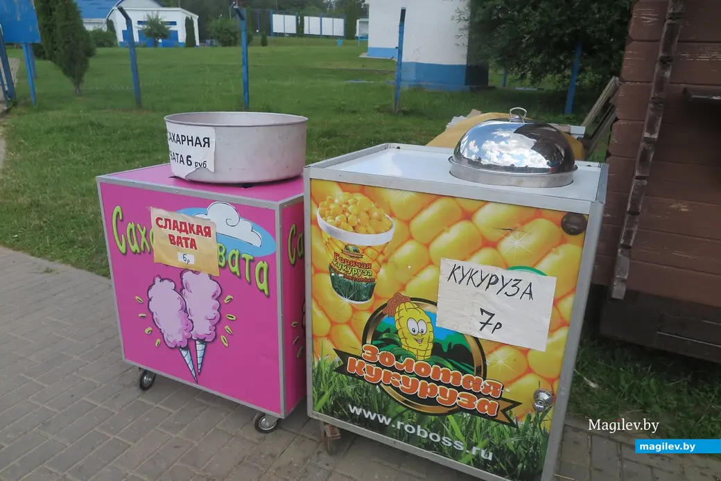 Июль 2025 г. Могилев, Печерский лесопарк. Здесь есть чем перекусить!