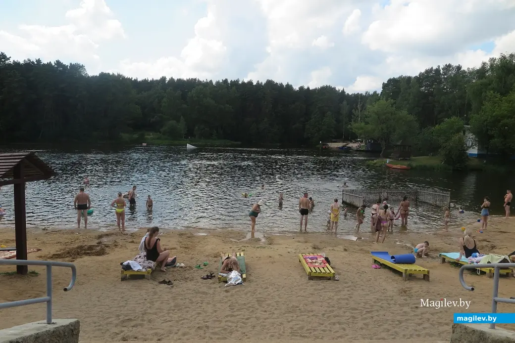 Июль 2025 г. Могилев, Печерское озеро. К "лягушатнику" не так-то просто подобраться.