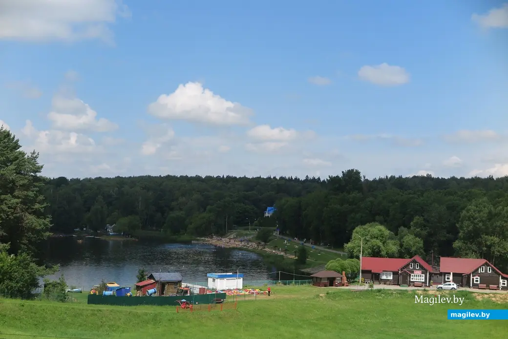 Июль 2025 г. Могилев, Печерское озеро со всех сторон окружено лесом. Красота!