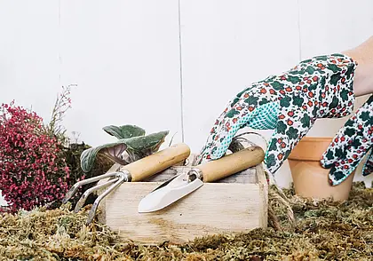 Что можно посадить на даче в августе? Рассказываем