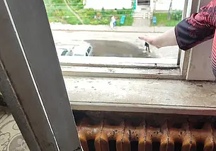 Под Витебском женщина выбросила кота с пятого этажа за то, что он ее поцарапал