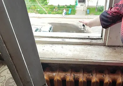 Под Витебском женщина выбросила кота с пятого этажа за то, что он ее поцарапал