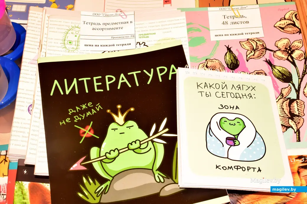 8 августа 2025 года. Школьный базар в Бобруйске на улице Социалистической возле рынка.