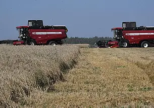 В Беларуси намолотили более 5 млн тонн зерна. На Могилевщине – 574 тысяч тонн